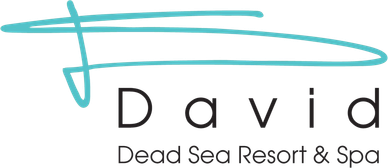 davidDeadSea